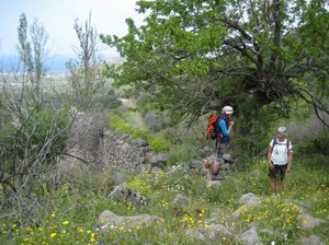 Lesvos in May