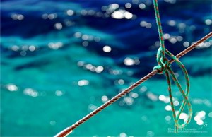 Green and blue symphony