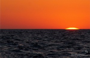 Sunset at sea