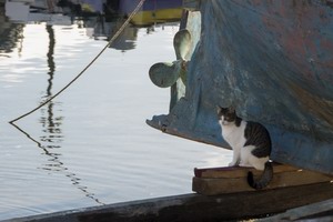 Molivos At the shipyard