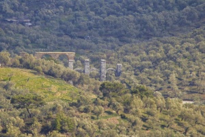 Ruins in the olive grove