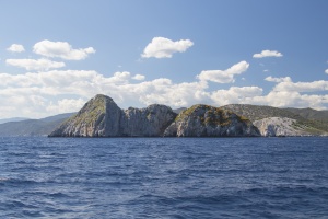 Myrsinia isles