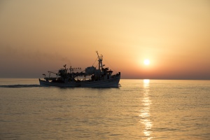 Fishing in sunset