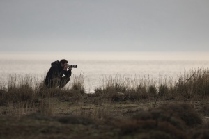 At Kalloni saltpans