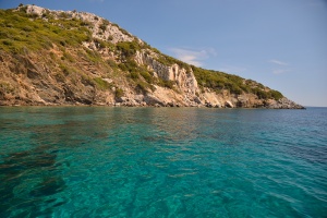 Myrsinia isles