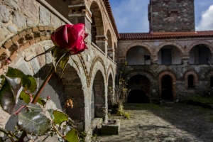 At the monasteruy of Ipsilou