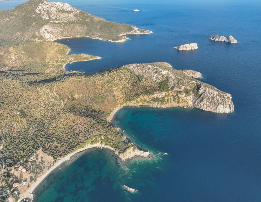 Myrsinia isles